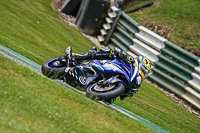 Advanced Group Blue Bikes